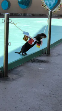 横浜・八景島シーパラダイスに投稿された画像（2021/10/25）