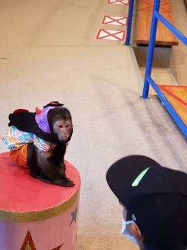 那須ワールドモンキーパークに投稿された画像（2021/10/25）