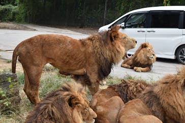 群馬サファリパークに投稿された画像（2021/10/25）