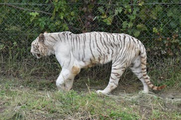 群馬サファリパークに投稿された画像（2021/10/25）