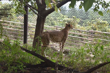 群馬サファリパークに投稿された画像（2021/10/25）