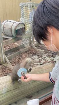 横浜・八景島シーパラダイスに投稿された画像（2021/10/25）