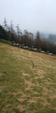 サンメドウズ清里に投稿された画像（2021/10/25）