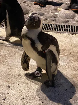横浜・八景島シーパラダイスに投稿された画像（2021/10/25）