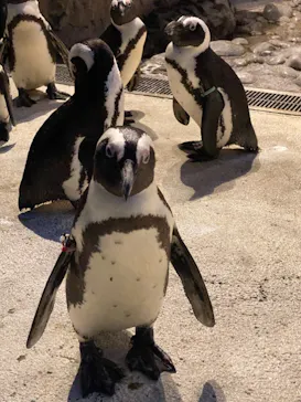 横浜・八景島シーパラダイスに投稿された画像（2021/10/25）