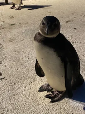 横浜・八景島シーパラダイスに投稿された画像（2021/10/25）