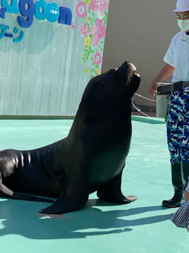 横浜・八景島シーパラダイスに投稿された画像（2021/10/25）