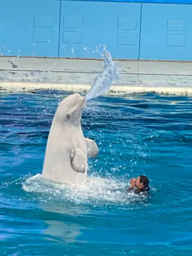 横浜・八景島シーパラダイスに投稿された画像（2021/10/25）