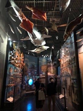 国立科学博物館に投稿された画像（2021/10/25）