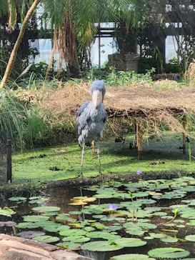 神戸どうぶつ王国に投稿された画像（2021/10/24）