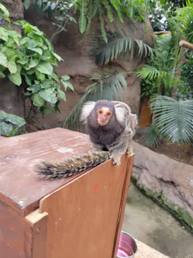 神戸どうぶつ王国に投稿された画像（2021/10/24）