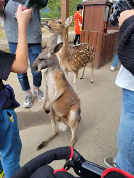 神戸どうぶつ王国に投稿された画像（2021/10/24）