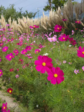 神戸どうぶつ王国に投稿された画像（2021/10/24）