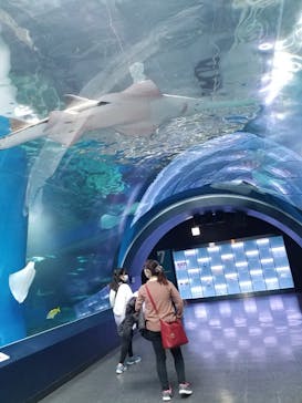 マクセル アクアパーク品川に投稿された画像（2021/10/25）