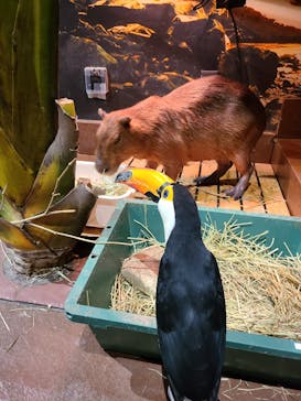 Moff animal world MARK IS みなとみらい店に投稿された画像（2021/10/25）