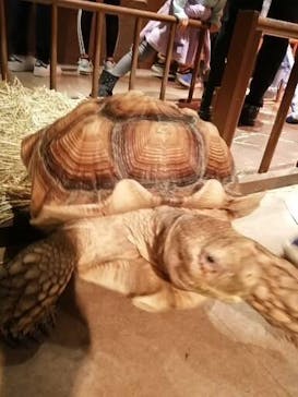 Moff animal world MARK IS みなとみらい店に投稿された画像（2021/10/26）