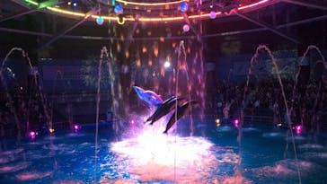 マクセル アクアパーク品川に投稿された画像（2021/10/26）