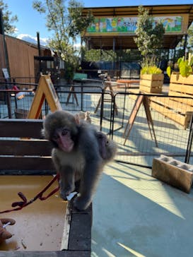 しろとり動物園に投稿された画像（2021/10/26）