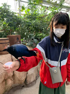 神戸どうぶつ王国に投稿された画像（2021/10/26）