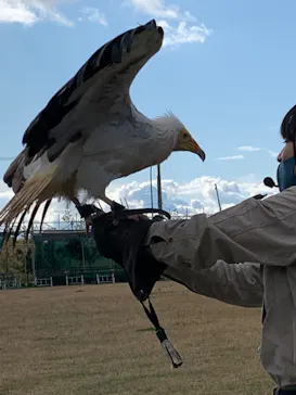 神戸どうぶつ王国に投稿された画像（2021/10/26）
