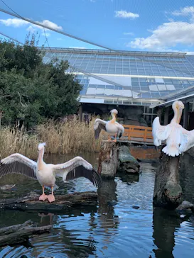 神戸どうぶつ王国に投稿された画像（2021/10/26）