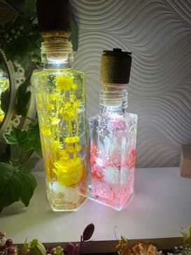 ずこうしつ〜sugamo〜に投稿された画像（2021/10/26）