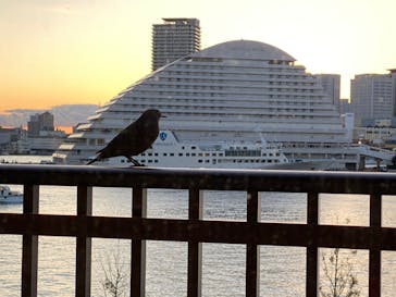 神戸みなと温泉 蓮に投稿された画像（2021/10/26）