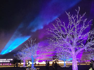 東京メガイルミに投稿された画像（2021/10/26）