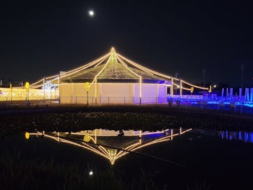 東京メガイルミに投稿された画像（2021/10/26）