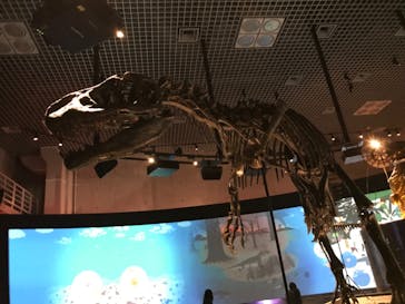 国立科学博物館に投稿された画像（2021/10/26）