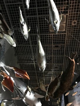 国立科学博物館に投稿された画像（2021/10/26）