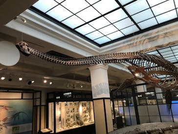 国立科学博物館に投稿された画像（2021/10/26）