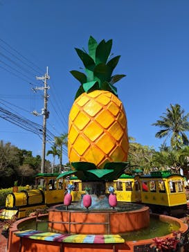 ナゴパイナップルパークに投稿された画像（2021/10/26）