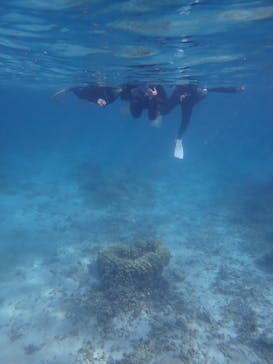 マリンヴィレッジ奄美に投稿された画像（2021/10/26）