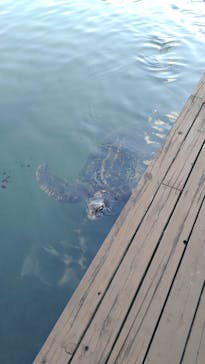 串本海中公園水族館に投稿された画像（2021/10/26）