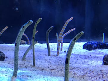 名古屋港水族館に投稿された画像（2021/10/26）