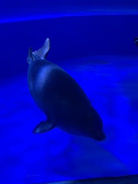 サンシャイン水族館に投稿された画像（2021/10/26）