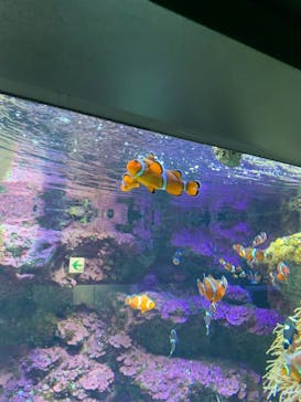 サンシャイン水族館に投稿された画像（2021/10/26）