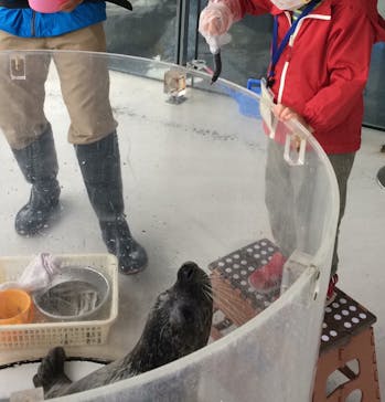 しながわ水族館に投稿された画像（2021/10/27）