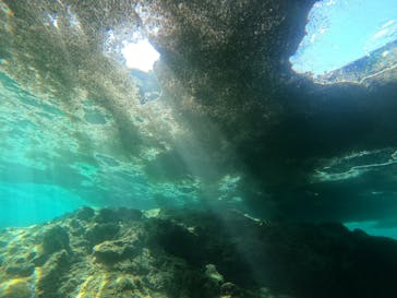 武藤潜水に投稿された画像（2021/10/27）