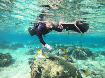 武藤潜水に投稿された画像（2021/10/27）