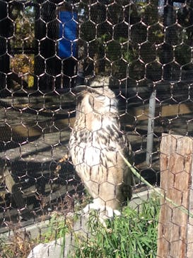 旭川市旭山動物園に投稿された画像（2021/10/27）