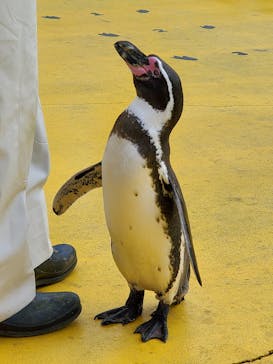 南知多ビーチランド＆南知多おもちゃ王国に投稿された画像（2021/10/27）