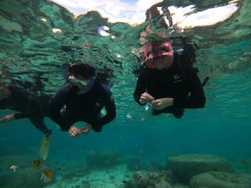 武藤潜水に投稿された画像（2021/10/27）