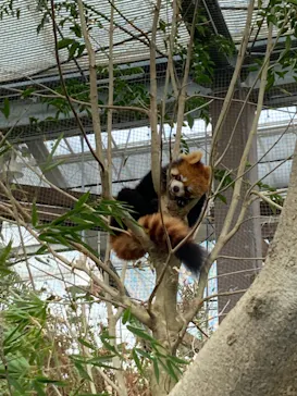 神戸どうぶつ王国に投稿された画像（2021/10/27）