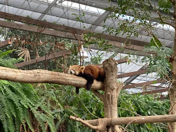 神戸どうぶつ王国に投稿された画像（2021/10/27）