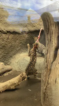 神戸どうぶつ王国に投稿された画像（2021/10/27）