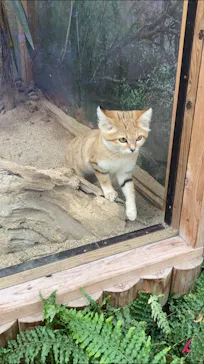 神戸どうぶつ王国に投稿された画像（2021/10/27）