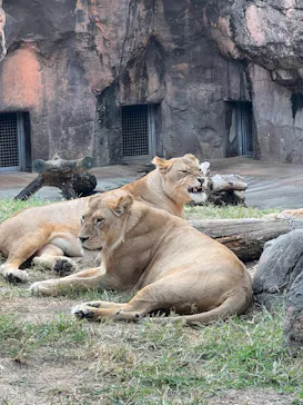 天王寺動物園に投稿された画像（2021/10/27）