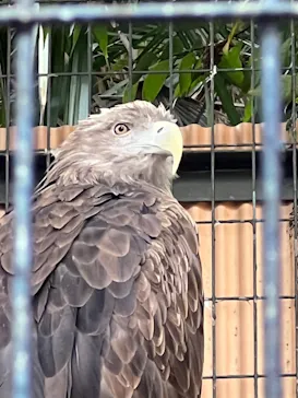 天王寺動物園に投稿された画像（2021/10/27）